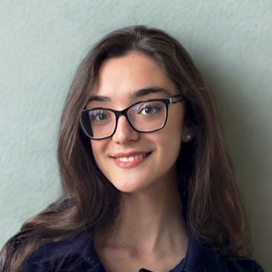Ideja Bajra